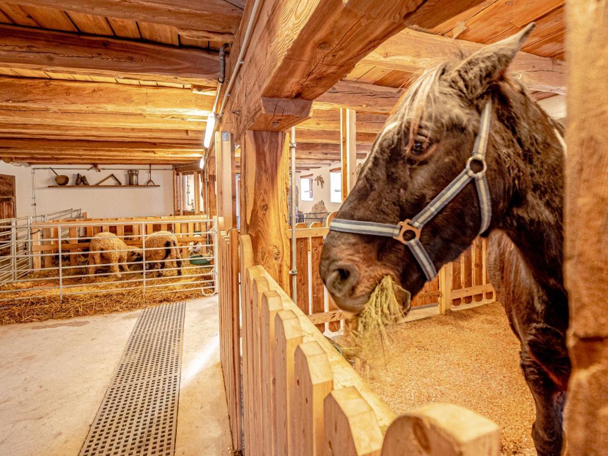 Zeiserhof Ramsau am Dachstein Zewnętrze zdjęcie