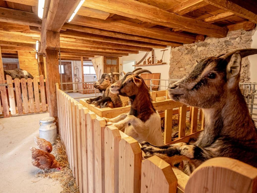 Zeiserhof Ramsau am Dachstein Zewnętrze zdjęcie